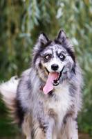 Mélissa BEAUFFRETON - MELISSA PHOTOGRAPHIE