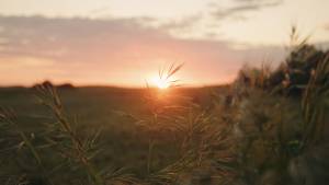 Louis-Evrard QUILLIARD - LEQ VIDEASTE